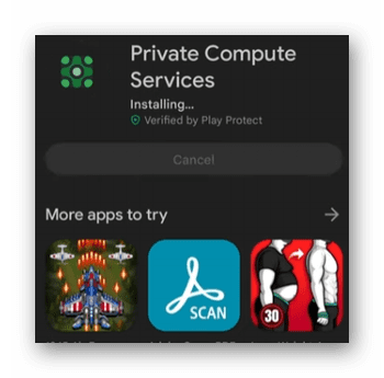 Private Computer Services что это за программа?