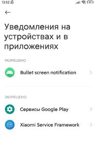 Bullet Screen Notification что это за программа?