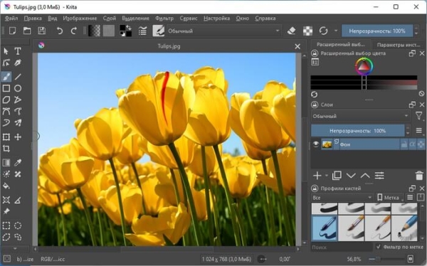 Лучшие бесплатные альтернативы Photoshop — 7 программ