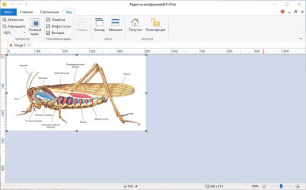 Как извлечь картинки из PDF — 5 способов