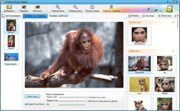 Funny Photo Maker — программа для создания фотоприколов
